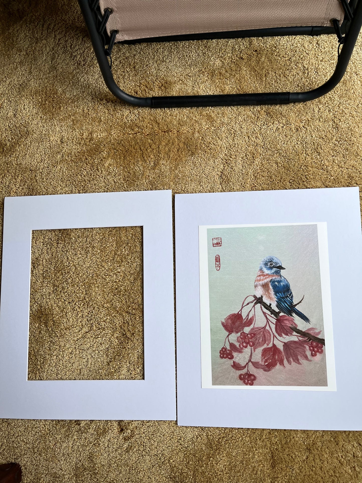 Fine Art print "bluebird"