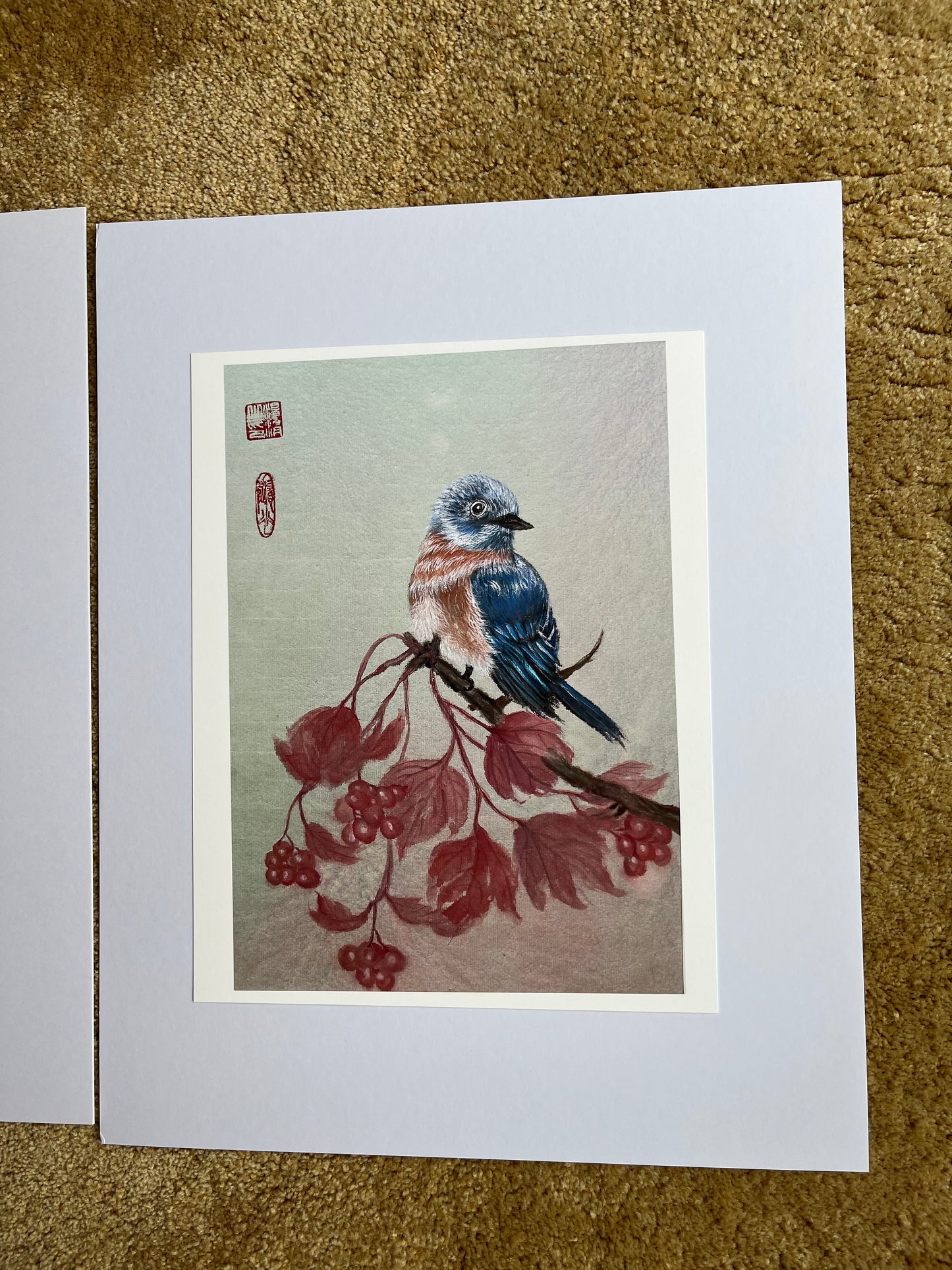 Fine Art print "bluebird"