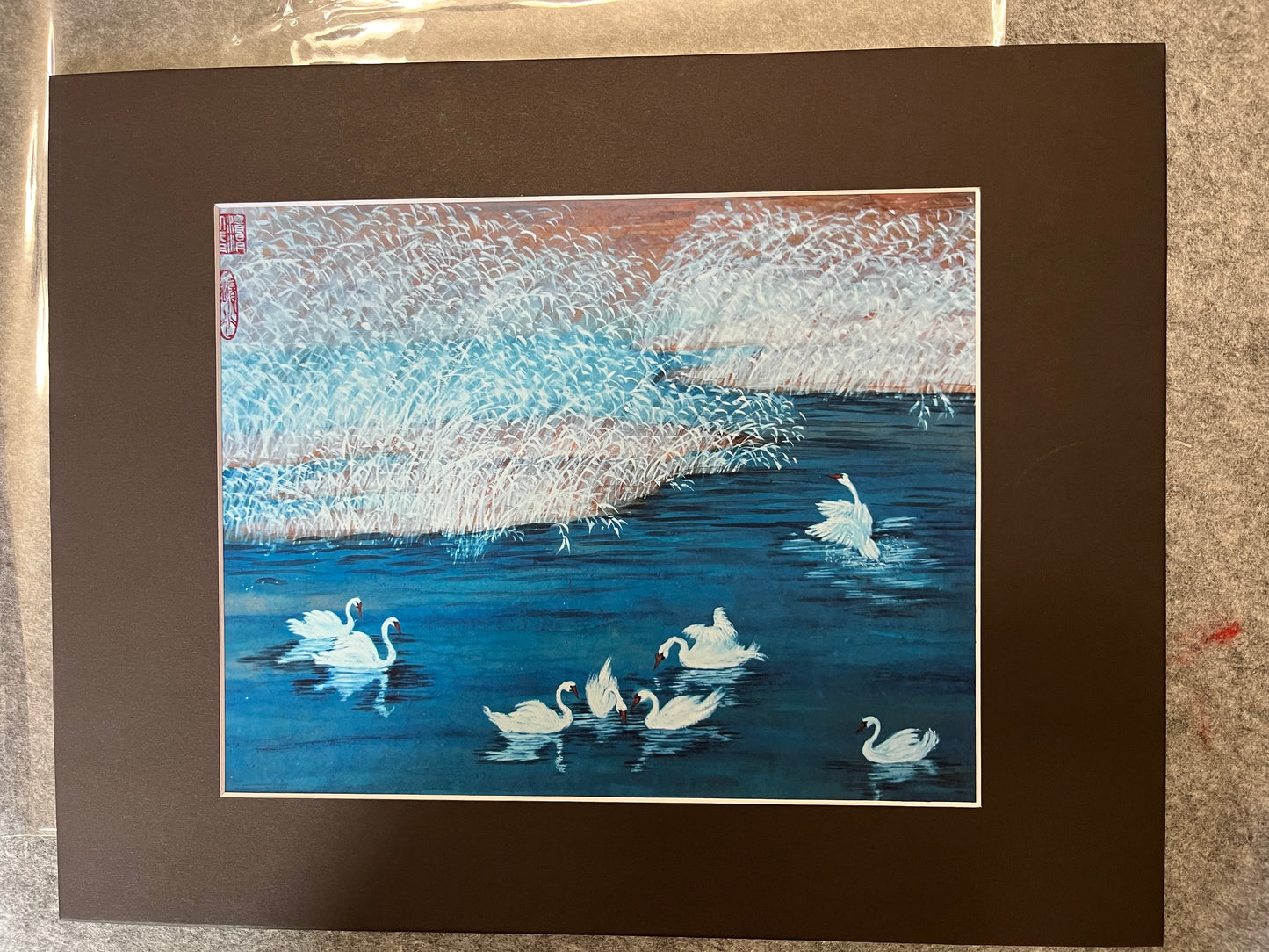 Fine Art print "Swan Lake"