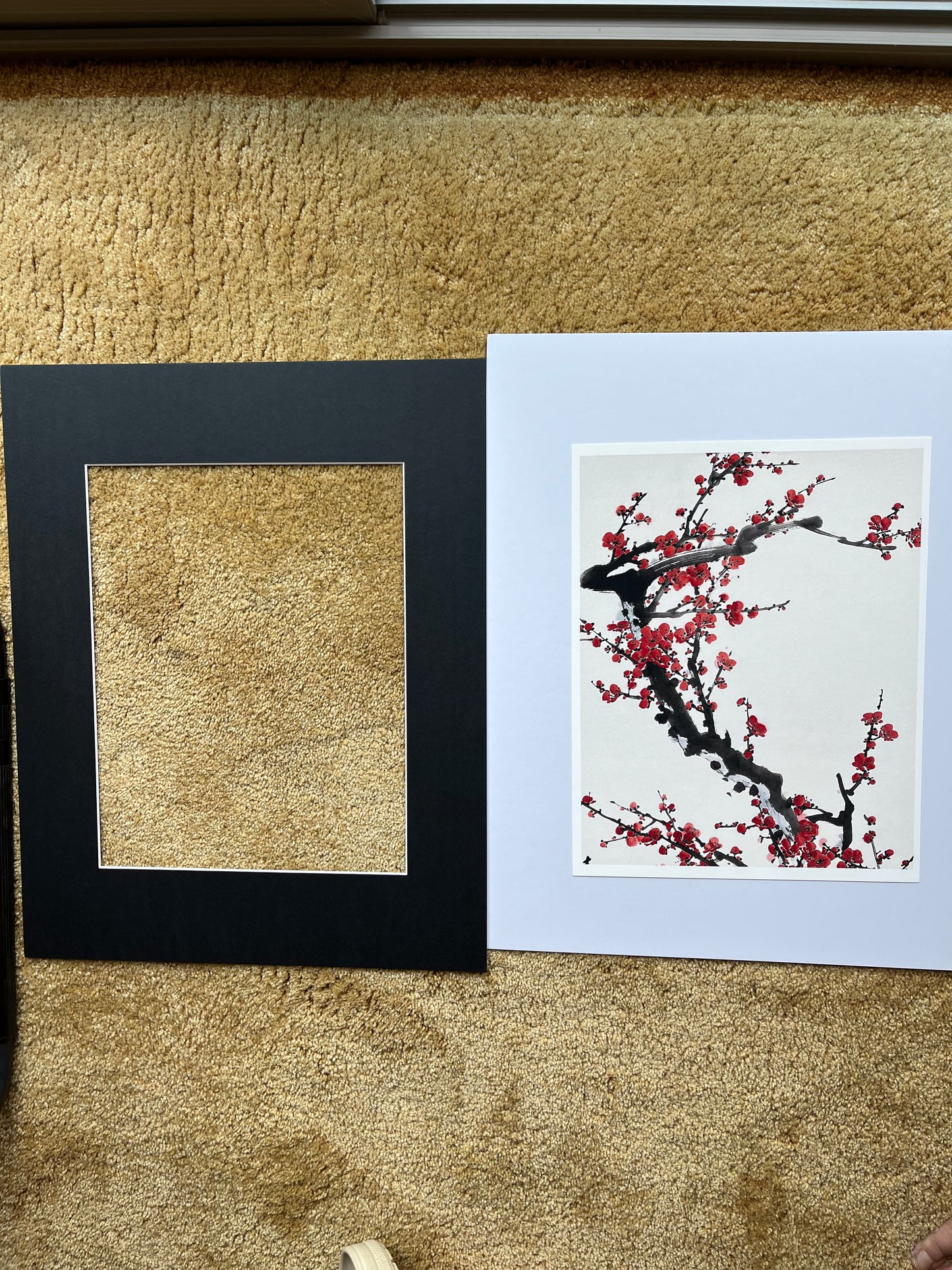 Fine Art print "cherry blossom"