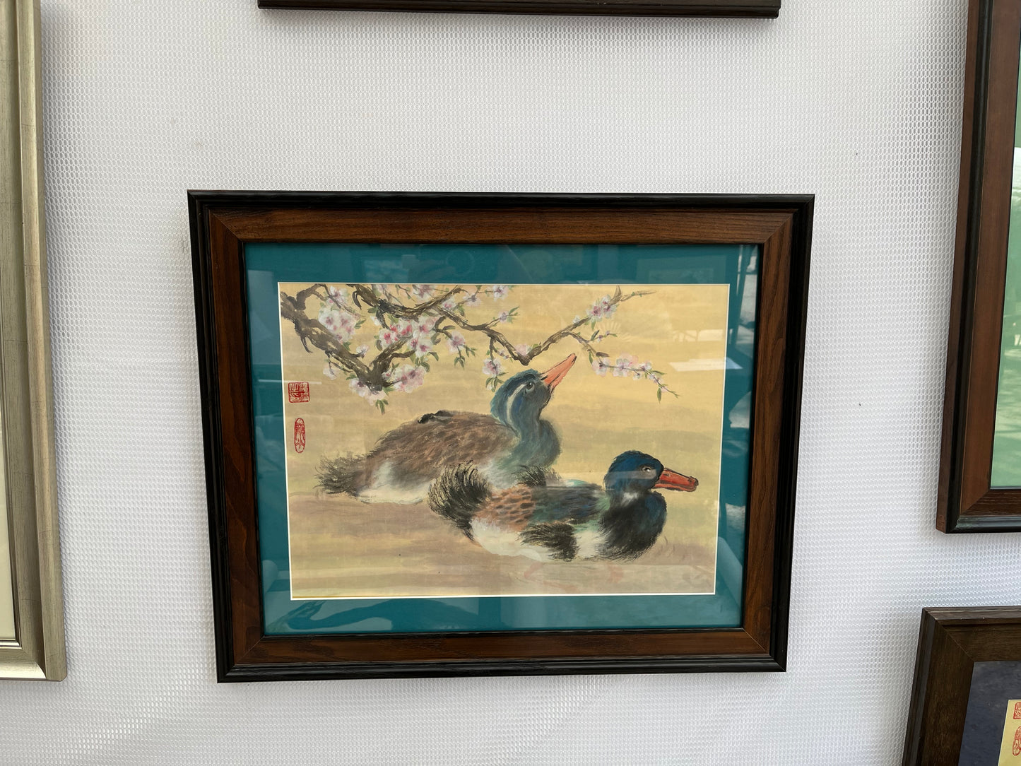 Wild Ducky