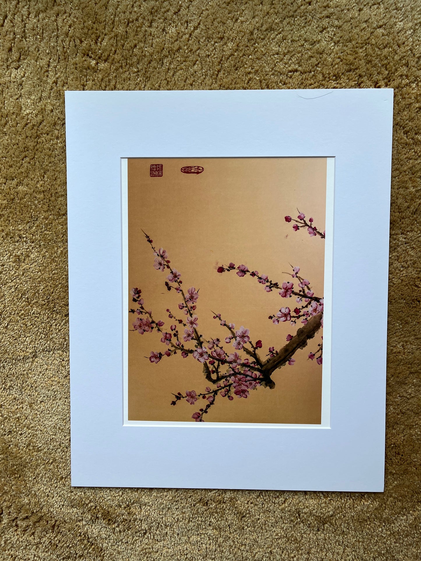 Fine Art print "pink Cherry blossom"