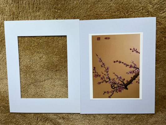 Fine Art print "pink Cherry blossom"