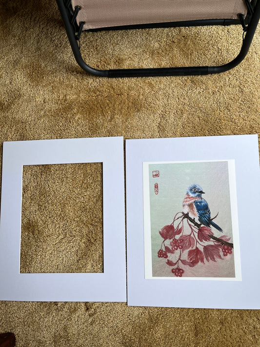 Fine Art print "bluebird"