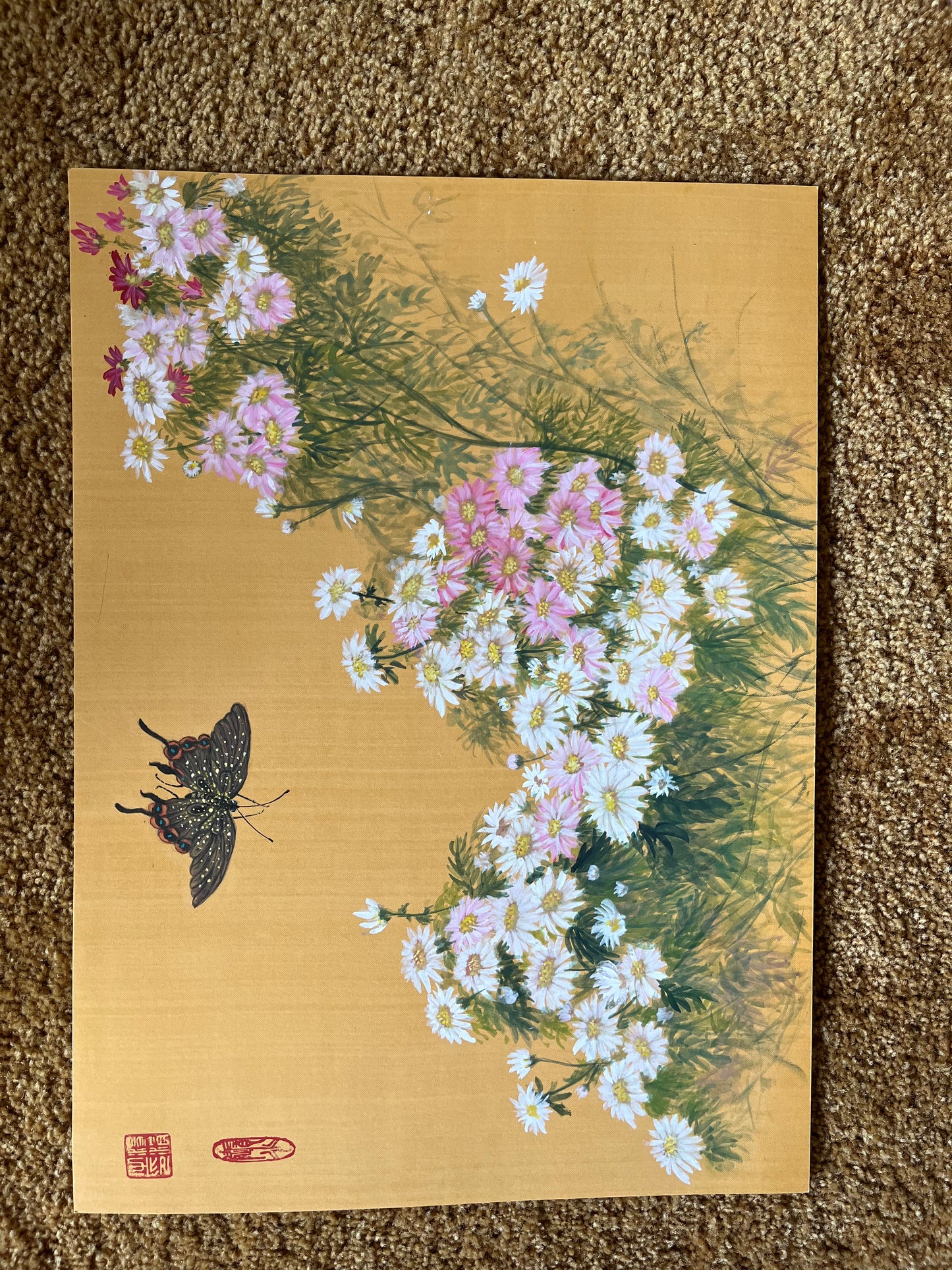 Daisies