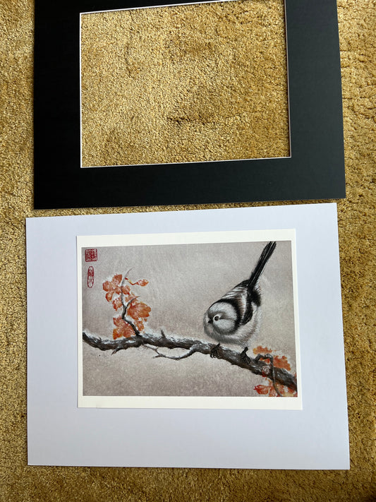 Fine Art print "silver-throated Bushtit"