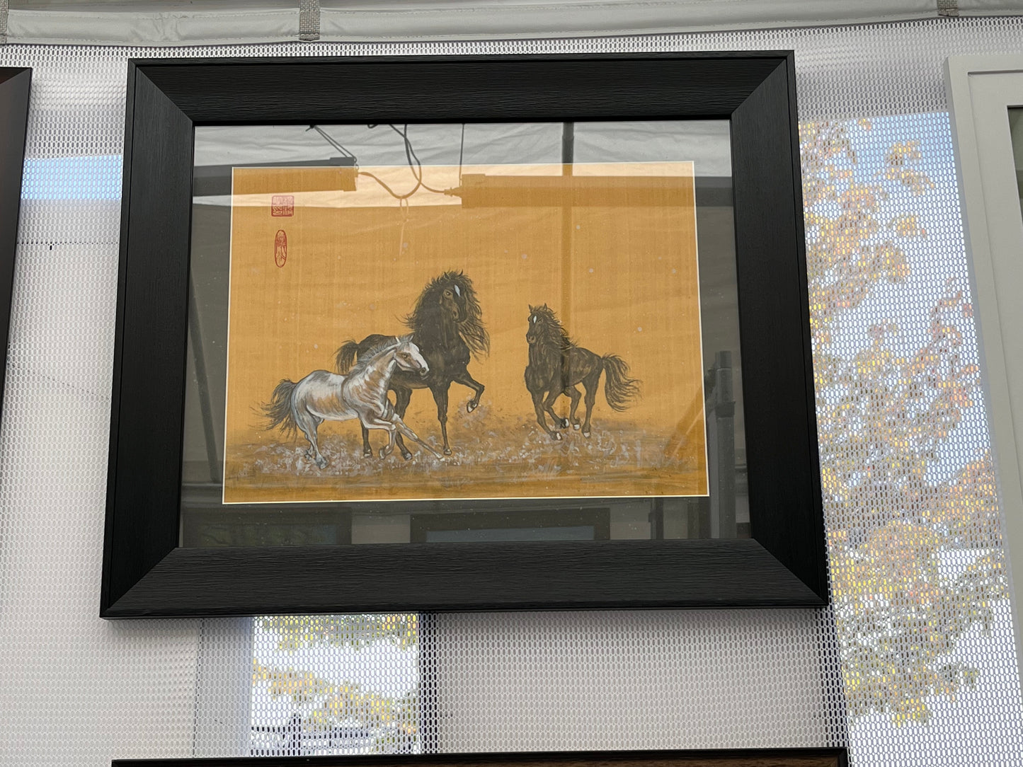 Wild Mustangs